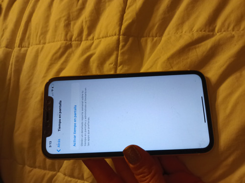 Hermoso Celular iPhone 11 Con Cargador (Usado)