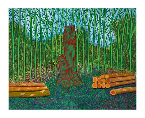 Lamina Fine Art Arboles Caidos David Hockney 80x65 Cm Myc