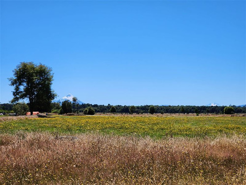 Campito En Venta En Puerto Varas