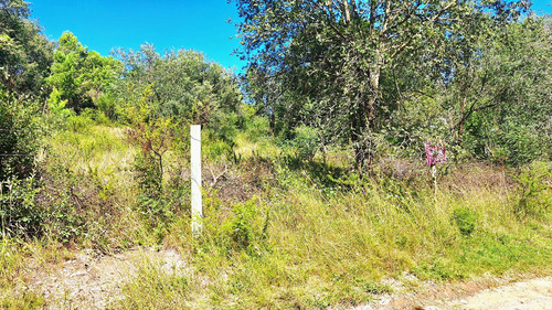 Villa Giardino, Lotes Sobre Bvard La Cañada
