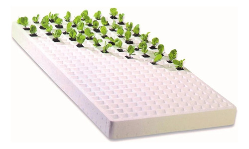 2 Charolas Germinadoras 200 Cavidades