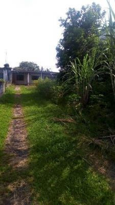 Imagem 3 de 14 de Casa No Litoral Em Itanhaém Com 520m² - 7730 Lc