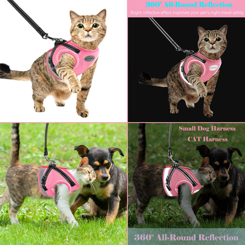 Set De Arnés Y Correa Para Gatos Y Cachorros Acccava