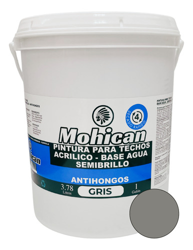Pintura Para Techos Antihongos Mohican 1 Galon