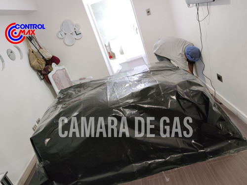 Imagen 10 de 10 de Servicio De Fumigacion Chiripas Pulgas Termitas Ácaros