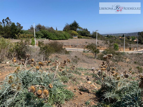 Sitio En Venta En Concón