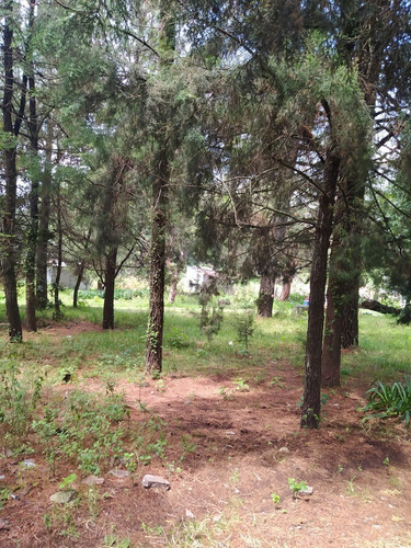 Imagen 5 de 23 de En Venta 3 Terrenos En Huitzilac, Morelos.