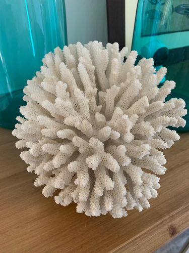 Coral Natural