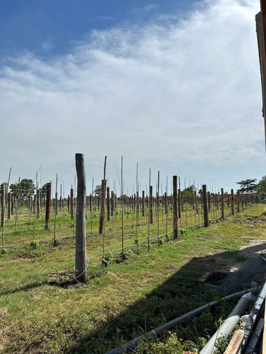 Imagen 7 de 24 de Terreno Lote En Venta Barrio Cerrado Dionisio Sobre Nueva Autopista