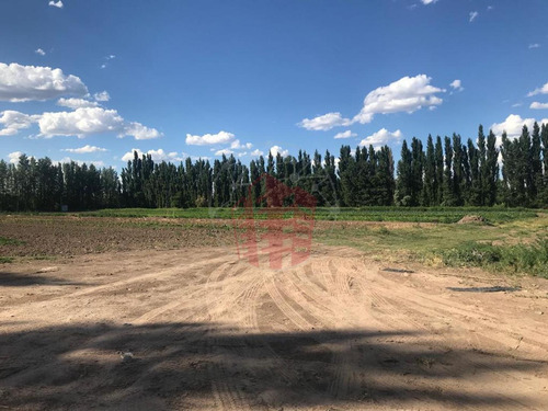 Imagen 2 de 6 de Se Venden Lotes - Fincas 3 Vista Alegre