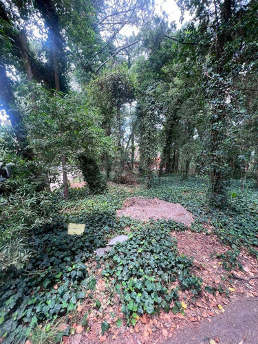 Imagen 3 de 11 de Vendo Lote 750 Mts Bosque P. Ramos Parquizado U$s 55.000.-