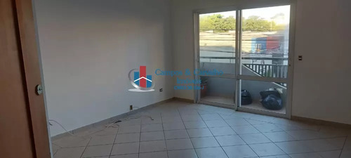 Imagem 11 de 28 de Rua Jordão Fávero, Parque Industrial Lagoinha, Ribeirão Preto - 43128
