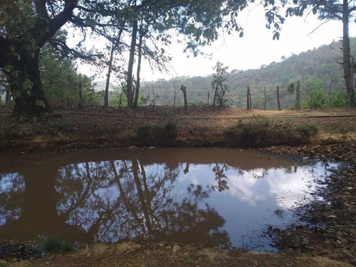 Imagen 7 de 8 de Terreno 32,000m² En San Joaquín Querétaro Con Escrituras