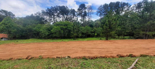 H15 - Vendo Lotes De 500m² Com Escritura.