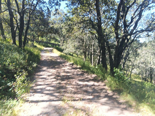 Terreno En Venta En Sierra De Lobos