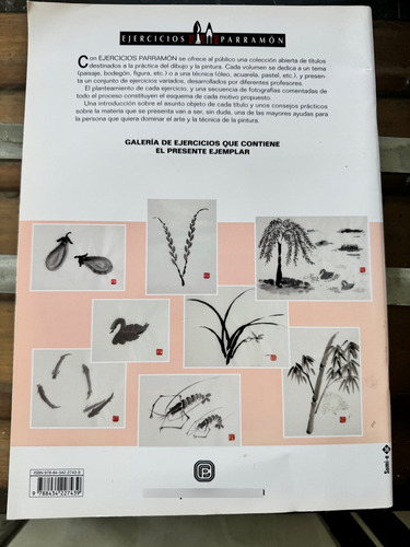 La Aguada Japonesa Sumi-e, Tinta Ejercicios Parramón Impec. (Usado)