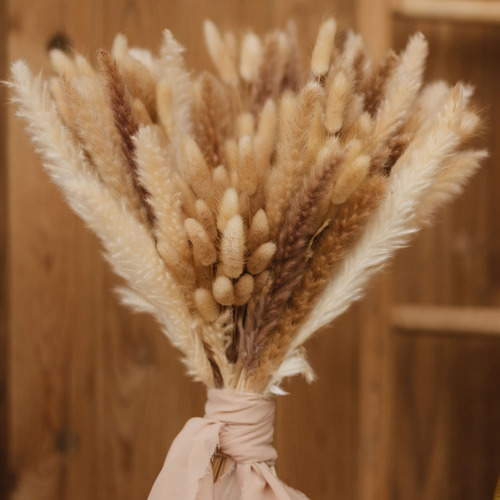 30 Pampas Hierba Seca Natural +60 Hierba Natural Cola Conejo