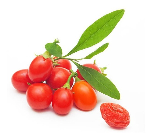 2 Plantas Pequeñas Goji Berry , Esquejes, ¡ya Producen!