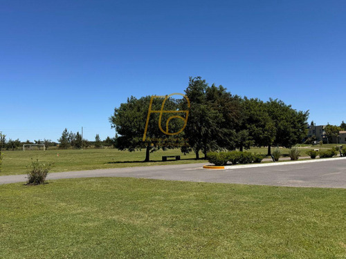 Venta Lote Horizontes Al Sur Canning