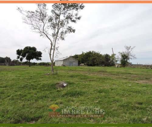 Campo 24 Has En Venta Canelones