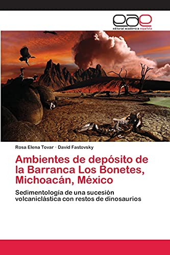 Ambientes De Depósito De La Barranca Los Bonetes, Michoacán,