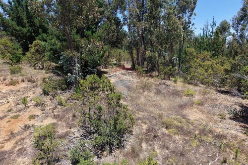 Extraordinario Terreno En La Polcura, 6.575 M²