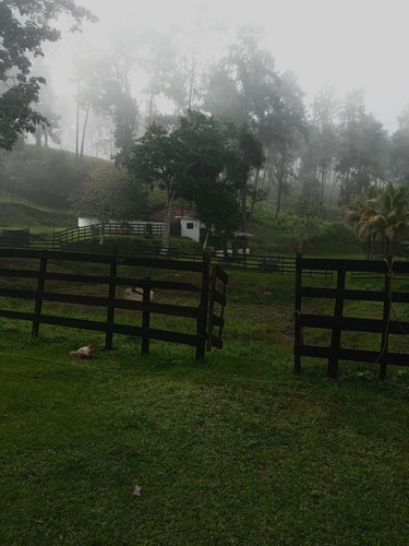 Finca Agrícola, En El Estado Miranda Fp