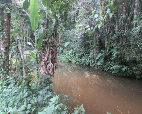 Imagem 6 de 21 de Terreno - 04611 - 33229241