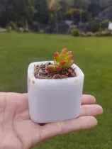 Comprar Mini Materos En Resina Para Recuerdos Boda, 15 Años, Etc