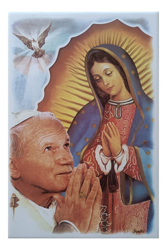 Virgen De Guadalupe Y Juan Pablo Ii Imagen 20x30cm Azulejo