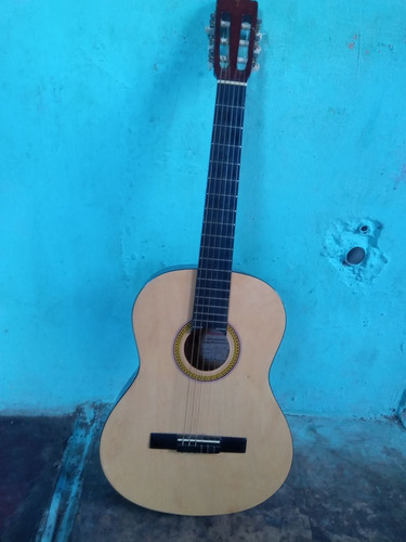 Guitarra Palmer Acústica 