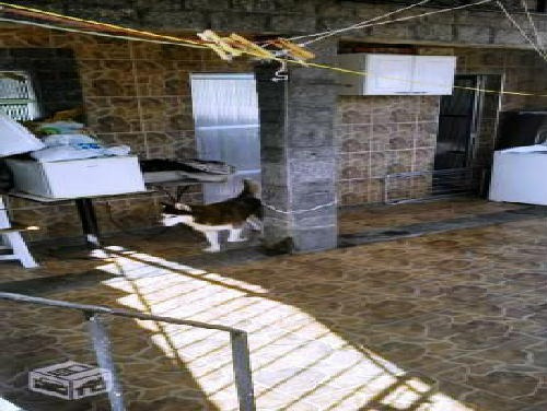 Imagem 5 de 11 de Casa De Rua-à Venda-pilares-rio De Janeiro - Pr30071