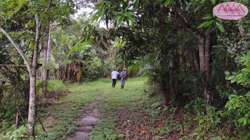 Imagem 12 de 15 de Chácara Para Venda Em Suzano, Ipelândia, 3 Dormitórios, 1 Suíte, 3 Banheiros, 1 Vaga - 0890_2022_2-1409469