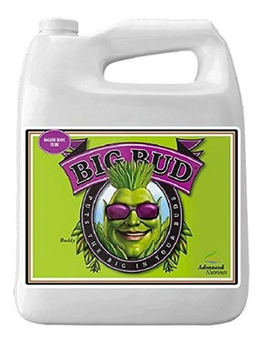 Advanced Nutrients Big Bud Máximas Flores 500 Ml