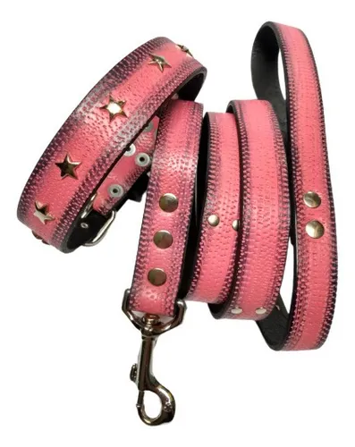 comprar Conjunto Correa Y Collar (3cms Ancho)cuero C\u002Ftextura Grabada