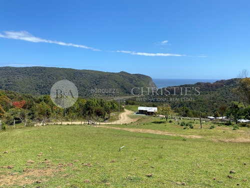Imagen 2 de 14 de 21375 - Sitios En Estaquilla
