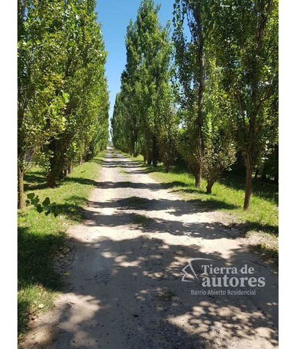 Lotes En Pueblo Esther - Tierra De Autores
