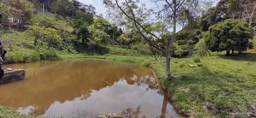 Imagem 2 de 14 de Miracatu/sitio Com 03 Lagos/pasto/curral/ref: 05068