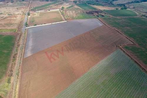 Imagen 1 de 12 de Terreno En Venta En Nextipac, Zapopan De 6 Hectáreas