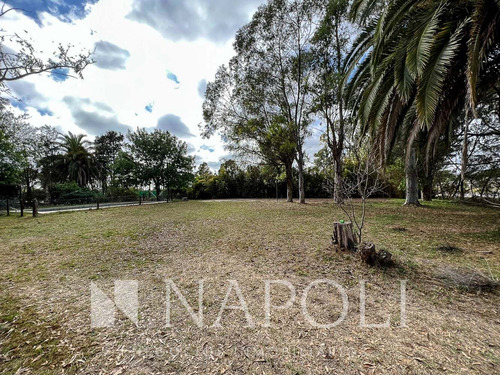 Imagen 2 de 6 de Venta De Casa Quinta Parcela Comercial San Vicente
