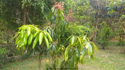 Imagem 15 de 29 de Chácaras À Venda Em Mairiporã/sp - Compre O Seu Chácaras Aqui! - 1485091