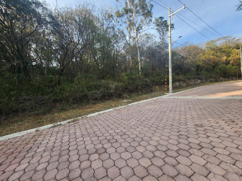 Venta Lote Gladiola 34 Cerca De Acceso Con Vistas Panorámicas Y Todos Los Servicios Inlcuyendo Proyecto En Fracc Rancho San Diego Ixtapan De La Sal Edomex