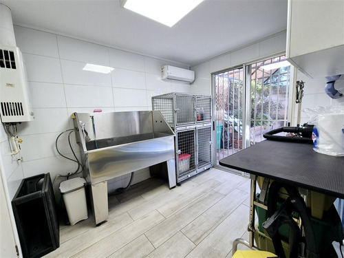 Clínica Veterinaria En Arriendo, En San Bernardo