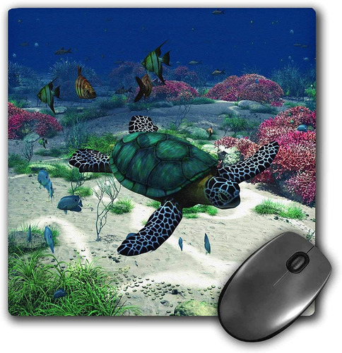 3drose Sea Turtle Nada Por El Oceano Con Tropic Peces Coral