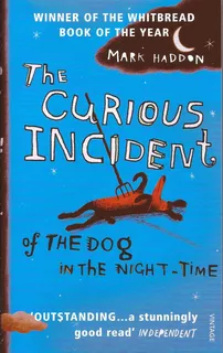 Curious Incident Of The Dog In The Night Time - Vintage