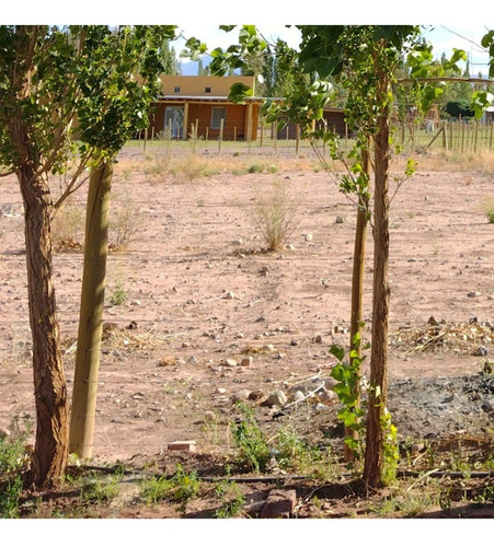 Lote Terreno En Barreal San Juan A 1000mts De La Plaza, El Leoncito, Escriturado, Titular, Impuestos Al Dia.
