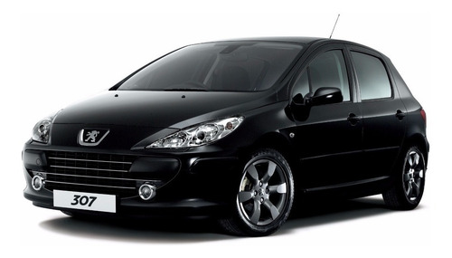 Alma De Paragolpe De Alumino Peugeot 307 Original 0711