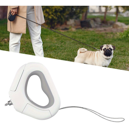 Correa Retráctil Para Perro Con Luces Led, Correa