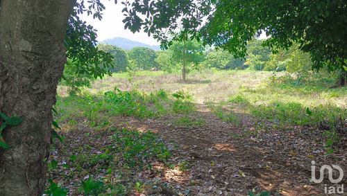 Venta Terreno 0 Ambiente Dos De Abril (montepío Chiquito)