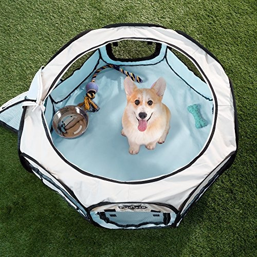 Petmaker - Boligrafo Portatil Con Bolsa De Transporte